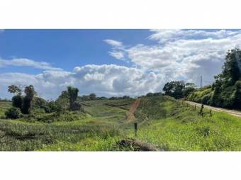 VENTA DE FINCA, HEREDIA, SARAPIQUÍ, GOLFITO, LA CUREÑA  