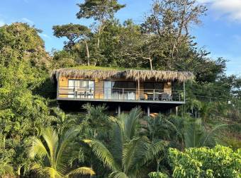 Cocoon Exclusiva Propiedad de Lujo con Vista al Océano y Alta Rentabilidad en Tamarindo