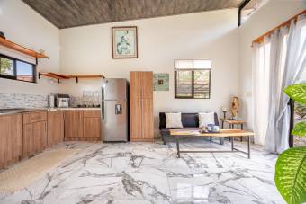 Propiedad Ecológica cerca de Tamarindo con Casa, Estudio y Piscina