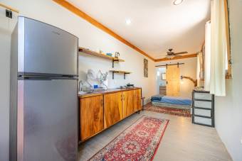 Propiedad Ecológica cerca de Tamarindo con Casa, Estudio y Piscina