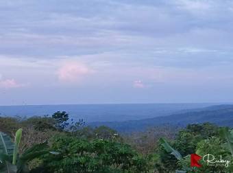 En venta. Un rincón mágico en La Alegría de Siquirres 