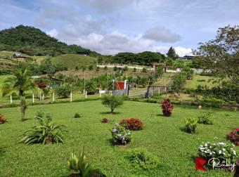 En venta. Un rincón mágico en La Alegría de Siquirres 