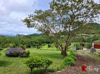 En venta. Un rincón mágico en La Alegría de Siquirres 