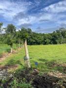 VENTA DE FINCA AGROGANADERA HORQUETAS SARAPIQUI, HEREDIA