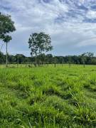 VENTA DE FINCA AGROGANADERA HORQUETAS SARAPIQUI, HEREDIA