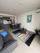 New Modern Apartment in Prime San José Location