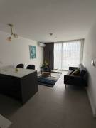 New Modern Apartment in Prime San José Location