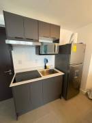 New Modern Apartment in Prime San José Location