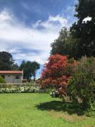 HEREDIA SAN RAFAEL LOS ANGELES VENDO LOTE $185.000