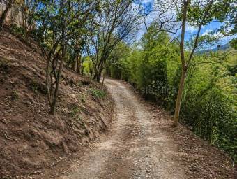 Venta de Lote en Carrizal de Escazú. RAH 26-1895