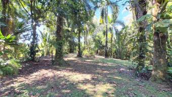 Venta de terreno espectacular en La Virgen Sarapiquí Heredia