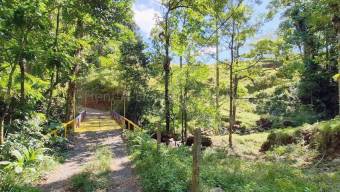Venta de terreno espectacular en La Virgen Sarapiquí Heredia