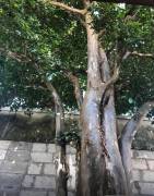 Se vende casa en San Francisco de Dos Ríos San José 26-1465