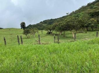 MLS-26-15 LS VENTA FINCA PALMITAL PUNTARENAS CONTACTENOS AL # 86127562