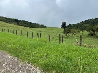 MLS-26-15 LS VENTA FINCA PALMITAL PUNTARENAS CONTACTENOS AL # 86127562