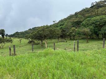 MLS-26-15 LS VENTA FINCA PALMITAL PUNTARENAS CONTACTENOS AL # 86127562