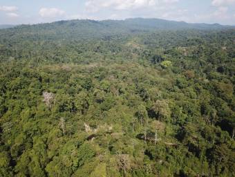 Venta Eco-Lodge en Bahía Drake 76Ha Selva Virgen y Cascada Única #26-1303 GS
