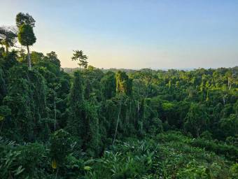 Venta Eco-Lodge en Bahía Drake 76Ha Selva Virgen y Cascada Única #26-1303 GS