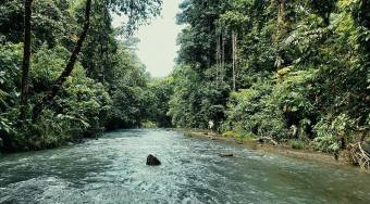Venta Eco-Lodge en Bahía Drake 76Ha Selva Virgen y Cascada Única #26-1303 GS