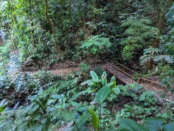 Venta Eco-Lodge en Bahía Drake 76Ha Selva Virgen y Cascada Única #26-1303 GS
