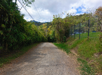 Venta de lote en Carrizal de Escazú 