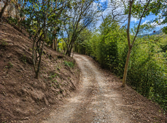 Venta de lote en Carrizal de Escazú 