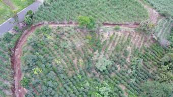 Venta de Lote en Grecia-San Roque, Alajuela. RAH 24-1278