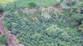 Venta de Lote en Grecia-San Roque, Alajuela. RAH 24-1278