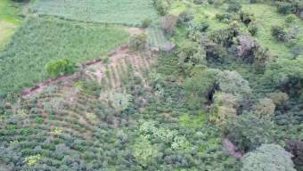 Venta de Lote en Grecia-San Roque, Alajuela. RAH 24-1278