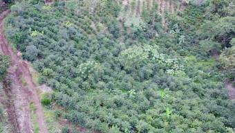 Venta de Lote en Grecia-San Roque, Alajuela. RAH 24-1278