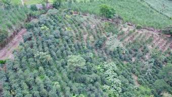 Venta de Lote en Grecia-San Roque, Alajuela. RAH 24-1278