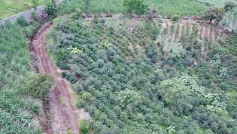 Venta de Lote en Grecia-San Roque, Alajuela. RAH 24-1278
