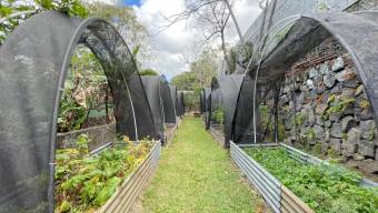 ALQUILER CASA SAN JOSE ESCAZU