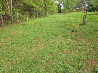 MLS-26-1028 LS VENTA LOTE OROTINA ALAJUELA CONTACTENOS AL # 86127562