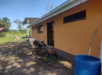 VENTA DE FINCA CON CASA, HEREDIA, SARAPIQUÍ, PUERTO VIEJO - 9929328