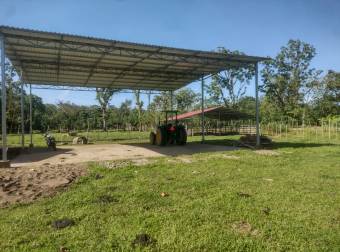 VENTA DE FINCA CON CASA, HEREDIA, SARAPIQUÍ, PUERTO VIEJO - 9929328