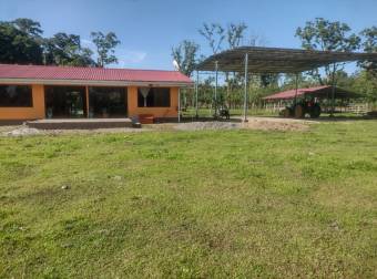 VENTA DE FINCA CON CASA, HEREDIA, SARAPIQUÍ, PUERTO VIEJO - 9929328