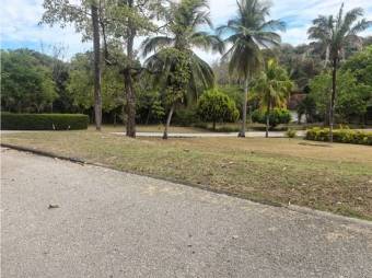 VENTA DE LOTE, GUANACASTE, HOJANCHA, CONDOMINIO LOMA VERDE - 9789049