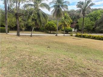 VENTA DE LOTE, GUANACASTE, HOJANCHA, CONDOMINIO LOMA VERDE - 9789049