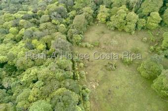 Venta de Lote de 45,360m2 en guapiles 26-1792