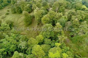 Venta de Lote de 45,360m2 en guapiles 26-1792