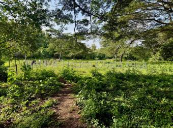 Venta de Lote de 11,630m2 en Manzanillo de Puntarenas 26-1450