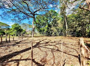 Venta de Lote de 11,630m2 en Manzanillo de Puntarenas 26-1450