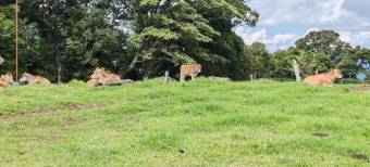 Venta de Lote en Barva-San José de La Montaña, Heredia. RAH 26-682 PRECIO REBAJADO USO DE SUELO MIXT
