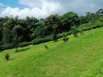 MLS-26-1067 LS VENTA LOTE TILARAN GUANACASTE CONTACTENOS AL # 86127562