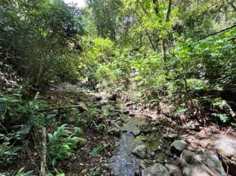 Finca en venta en Palmital Norte de El Guarco Cartago MLS 26-1829