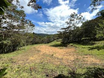 Finca en venta en Palmital Norte de El Guarco Cartago MLS 26-1829