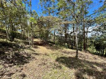 Finca en venta en Palmital Norte de El Guarco Cartago MLS 26-1829