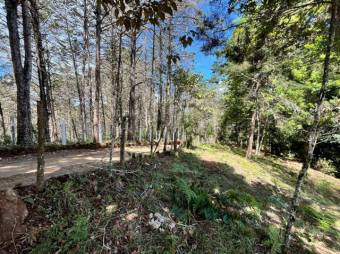 Finca en venta en Palmital Norte de El Guarco Cartago MLS 26-1829