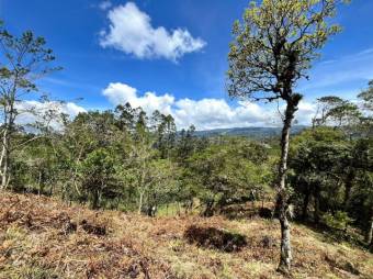Finca en venta en Palmital Norte de El Guarco Cartago MLS 26-1829